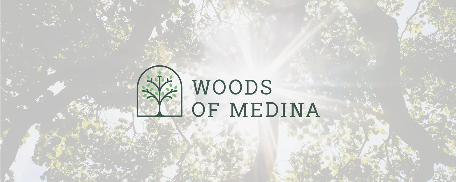 Woods of Medina Cover
